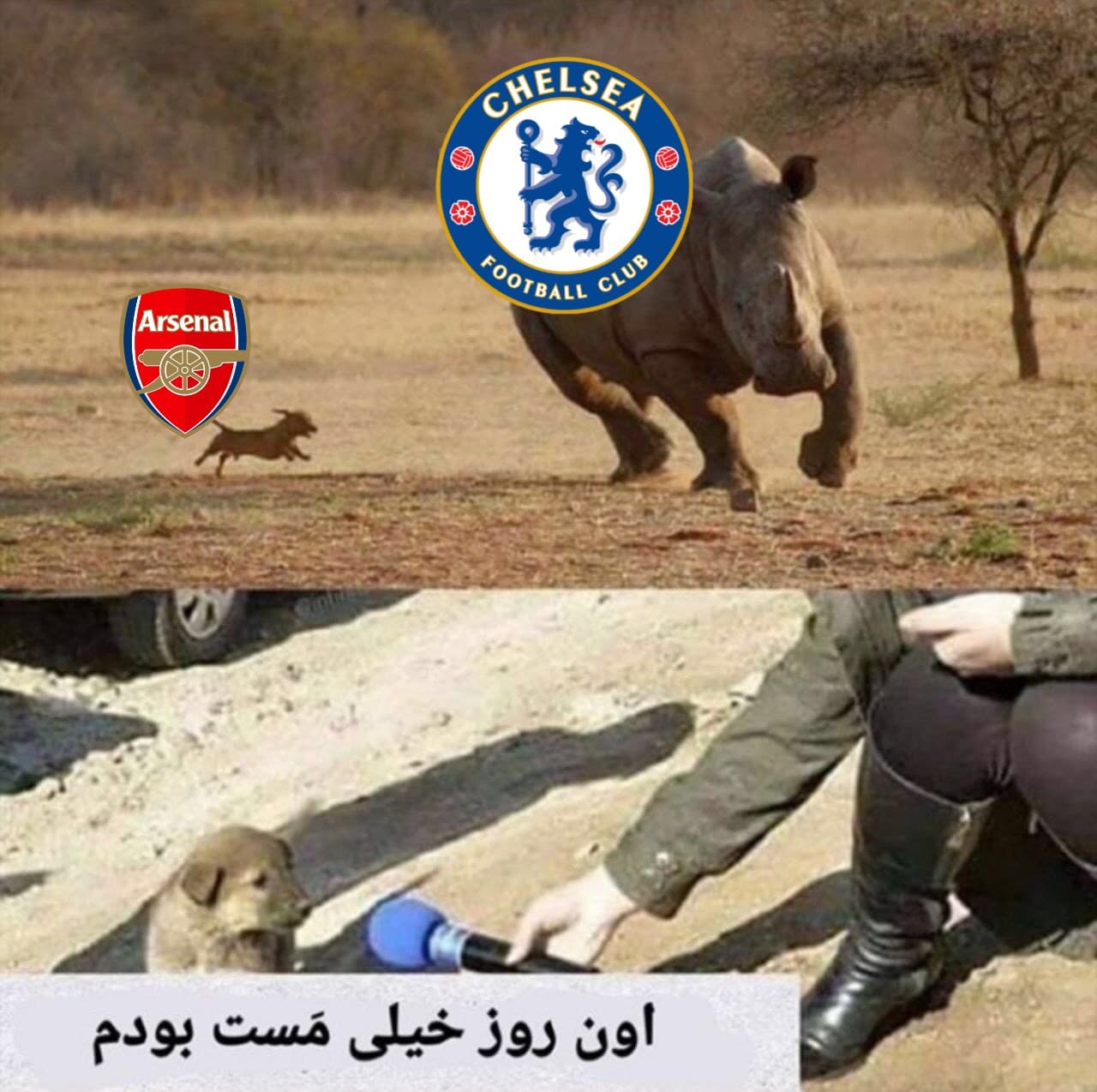 سرزمین عجایبه اینجا❗