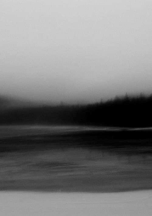 Crows in the rain___She