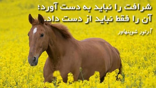حاضرم بارتومئو  مسی تو بارسلونا به عنوان یه کاتالانی 100 سال مدیر باشه حتی یکی جام هم نیاریم  ولی یه مادریدی فلورنتینو پرز کریس رونالدو نیاد تو بارسلونا بشه مدیر  بازیکن حتی اگه باش 100 جام هم بیاریم _ حقارته برا من. منظورمو واضح گفتم؟ 