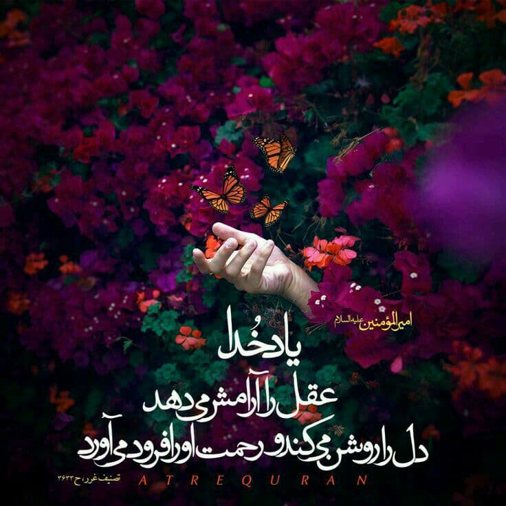 احادیثی زیبا و ارزشمند از امیرالمؤمنین امام علی علیه السلام ❤