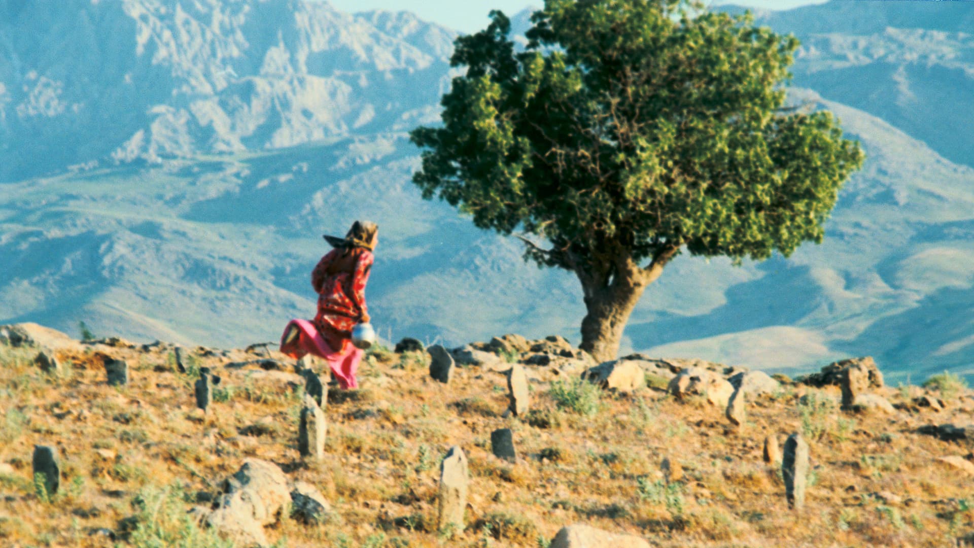 فیلم خوب ببینیم : باد ما را خواهد برد