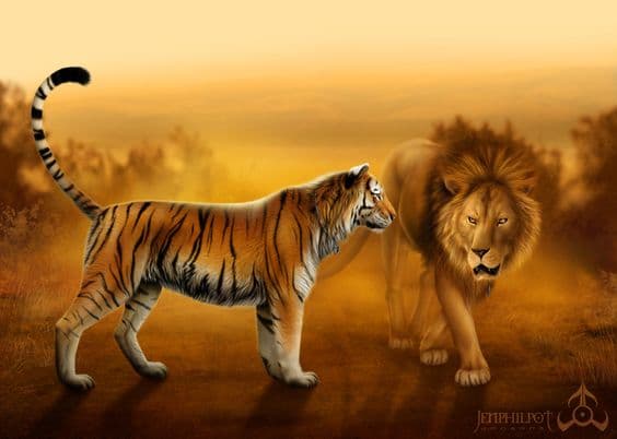 مقایسه علمی شیر و ببر از لحاظ قدرت ، کدام یک قوی تر است ؟