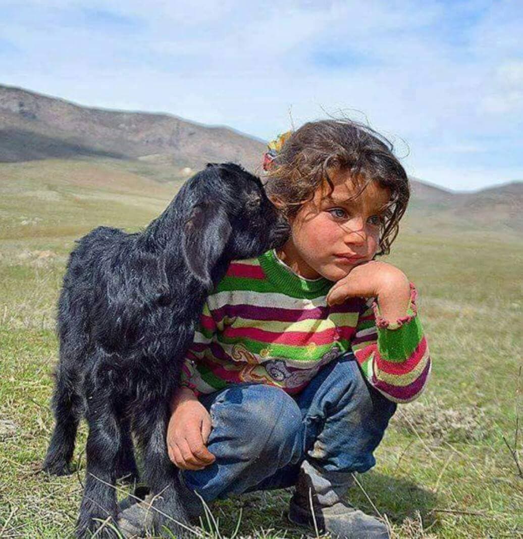 کاکو بند ، تنها بند شایسته و هنرمند در ایران 