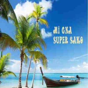 از سری آهنگ های بولد شده در اینستا. آهنگ ارمنی Mi Gna از Super Sako .