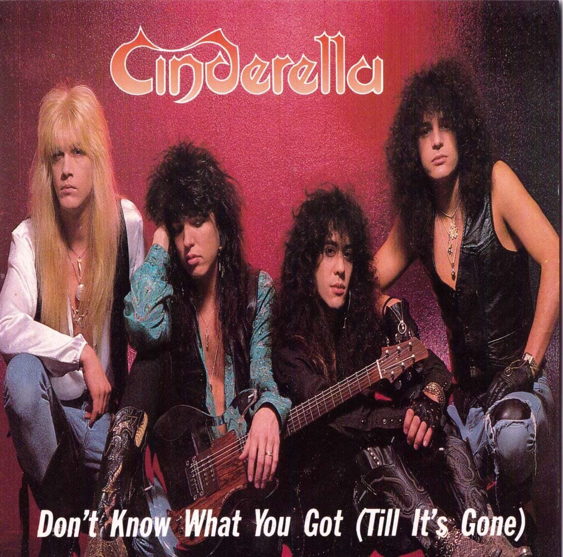 دانلود آهنگ Cinderella - Don't Know What You Got (Till It's Gone)