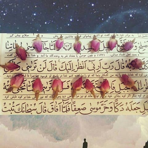 شعر شناسی : از نگاه عاقل اندر سفیه سعدی تا عرفان مولانا