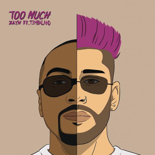 دانلود آهنگ Too much - Zayn Malik. ft Timbaland
