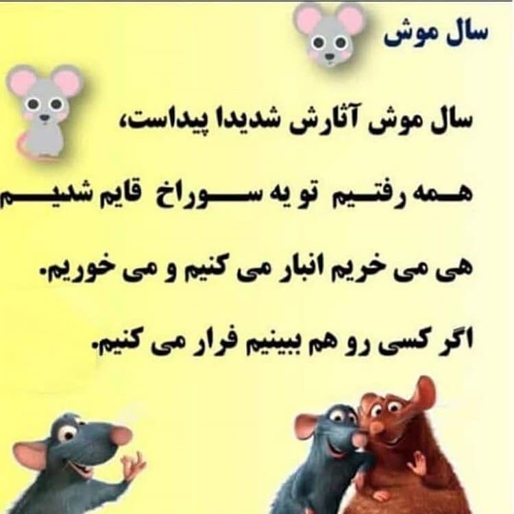 آثار سال موش شدیدا پیداست 