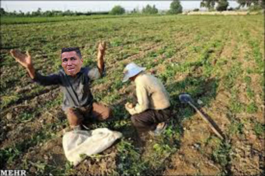 آخه چرا کود هاتونو به من اعتماد نمیکنید. به خدا من بهترین کوددهم ?
