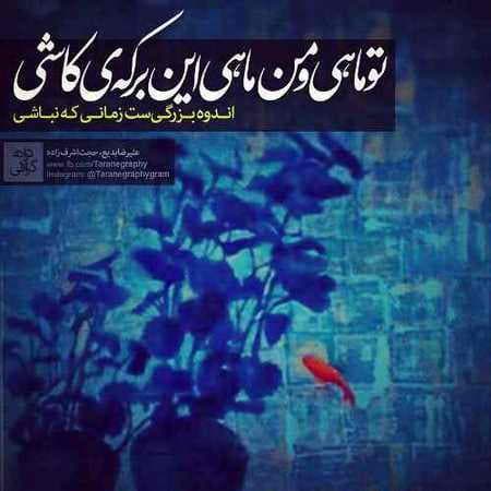 دانلود آهنگ تو ماهی و من ماهی این برکه کاشی از حجت اشرف زاده+متن