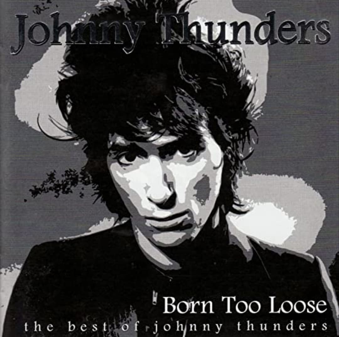 دانلود آهنگ You Can't Put Your Arms Around a Memory از Johnny Thunders