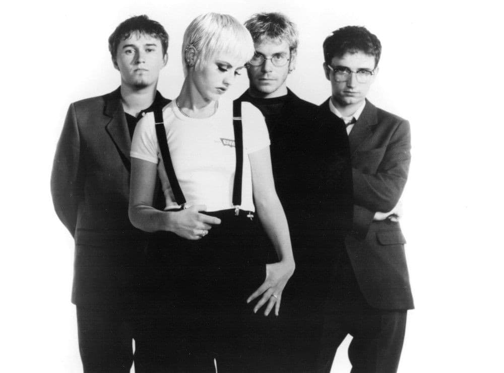 دانلود آهنگ Animal Instinct از گروه The Cranberries