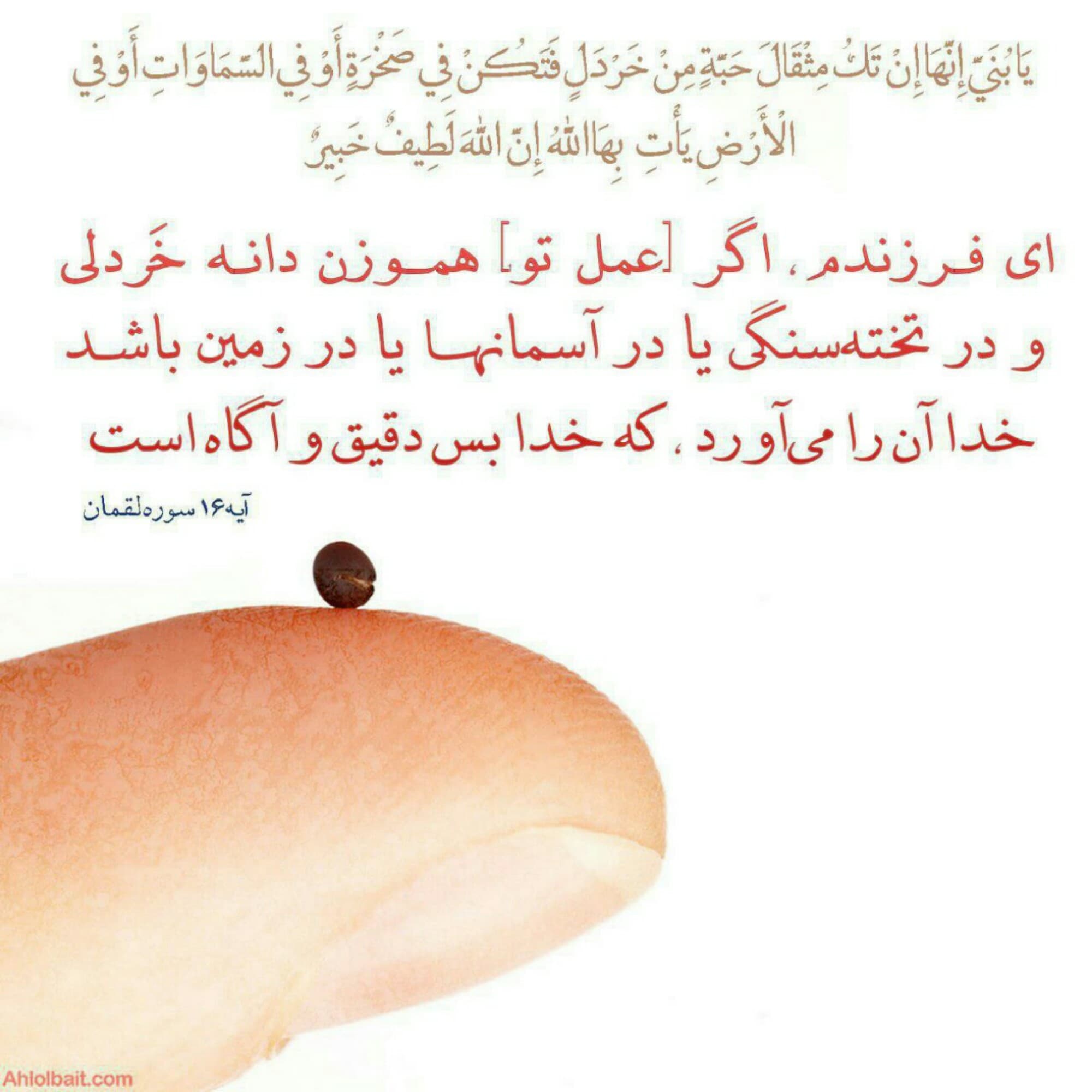 محاسبه نَفس