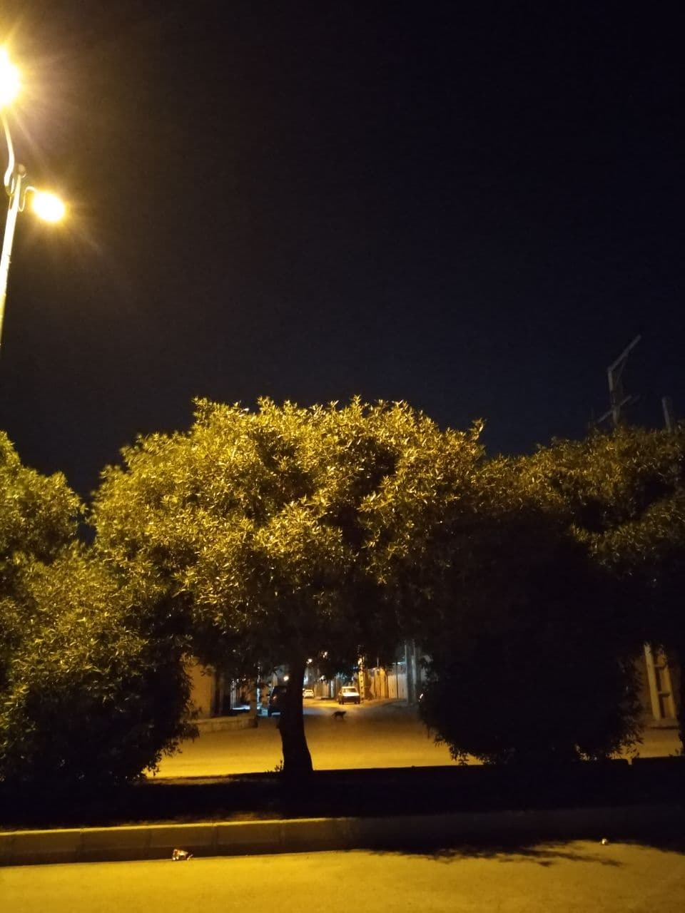 زمستون که میشه صدام میلرزه (با یه شب تاخیر)
