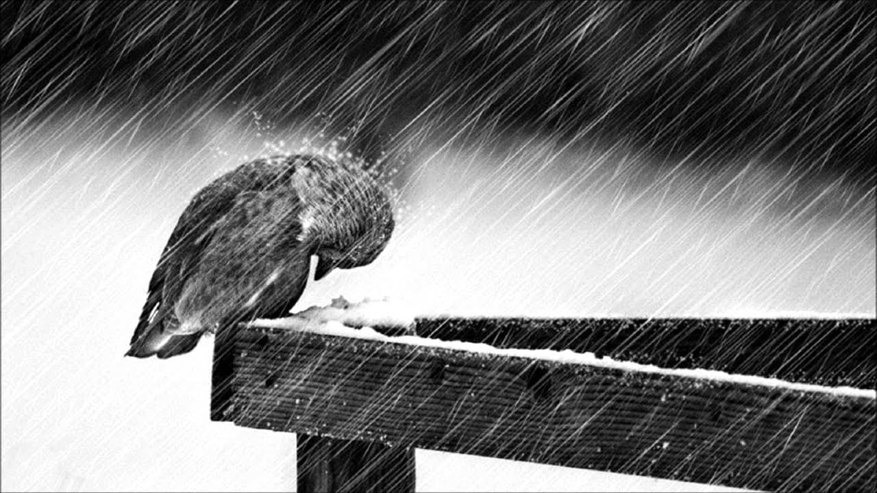 دانلود موسیقی بی کلام  Jorge Méndez - Cold  