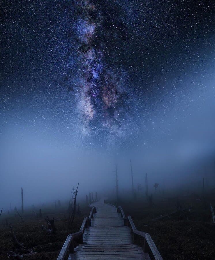 امشب عجبست