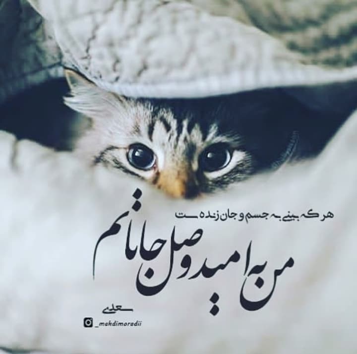 چاره من دعاست ?