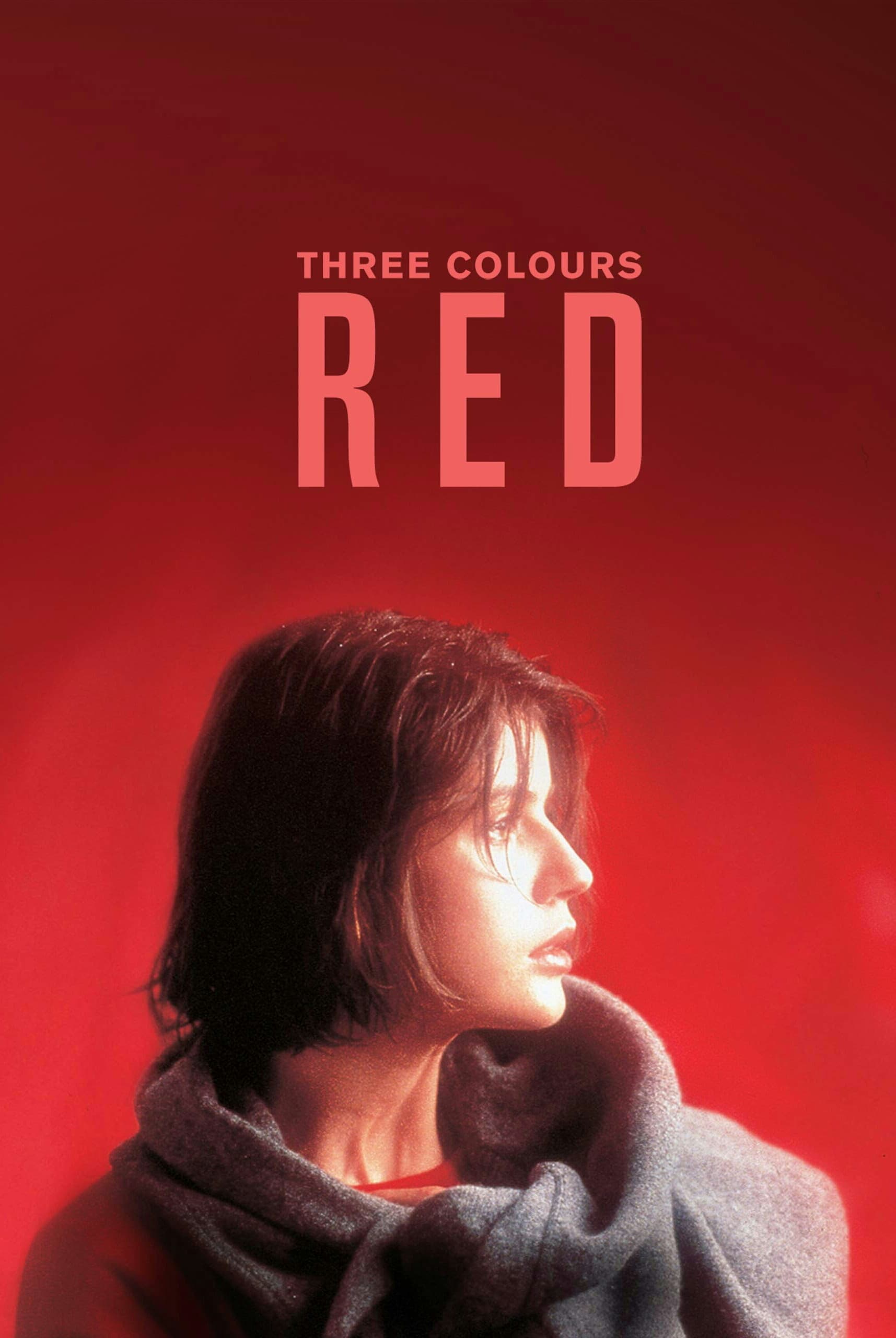 تحلیل و بررسی فیلم : Three colors : Red ? ( هیچ چیز آبی نمی شود! )
