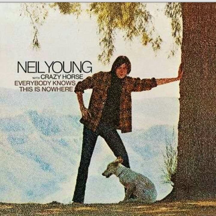 دانلود آلبوم فولک راک اثر نیل یانگ Everybody Knows This Is Nowhere از Neil Young
