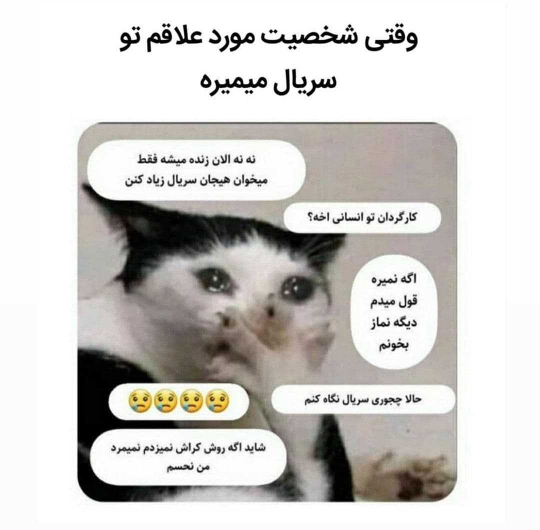 به همچین کسایی توصیه میشه یه دور بشینن گیم آو ترونزو ببینن?