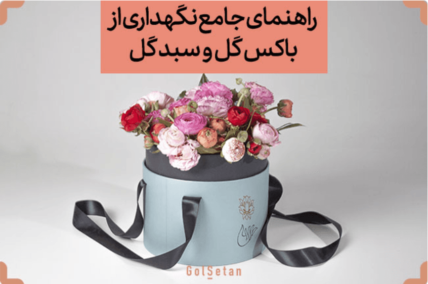 چگونه از باکس گل و سبد گل نگهداری کنیم