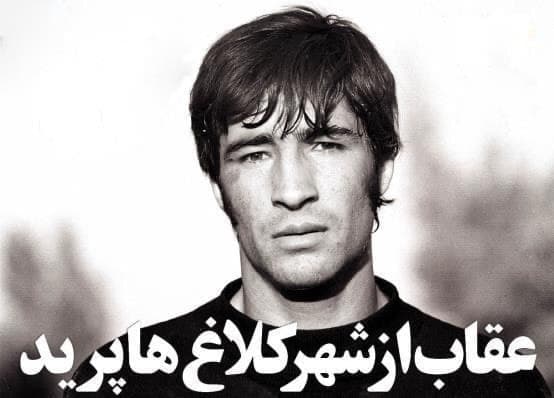 روزی که عقاب از آشیانۀ کلاغ ها پرید
