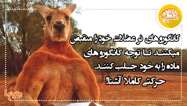 سلام رفقا? بجز کتابهای سه سال آخر برای کنکور چی باید بخونم؟ رشته انسانی