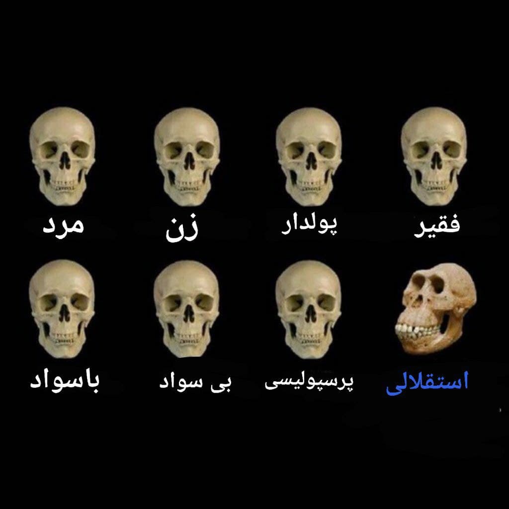 ما تاجیا خاصیم????