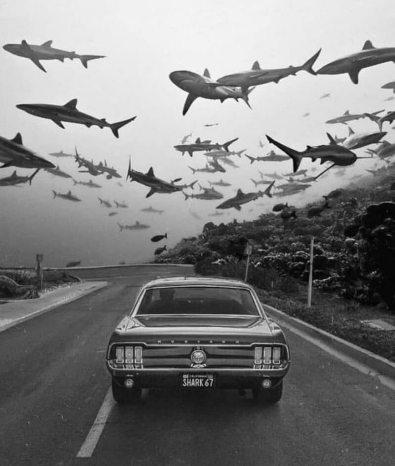آهنگ the Road از ALB