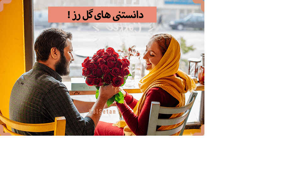 آشنایی با انواع گل رز 