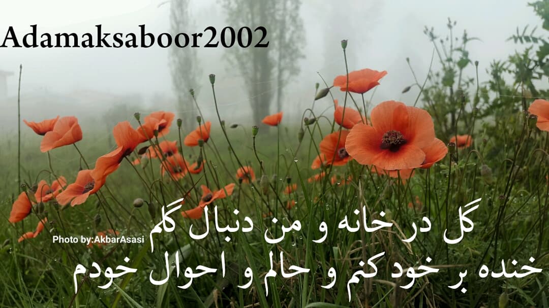 متن نوشته های من 
