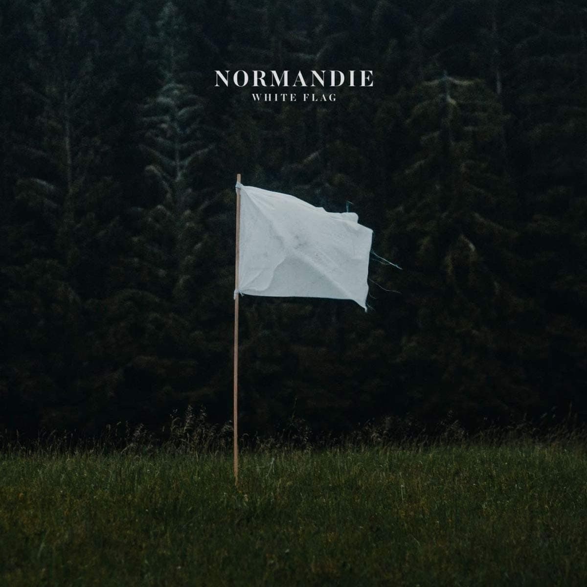 آهنگ white flag از normandie    